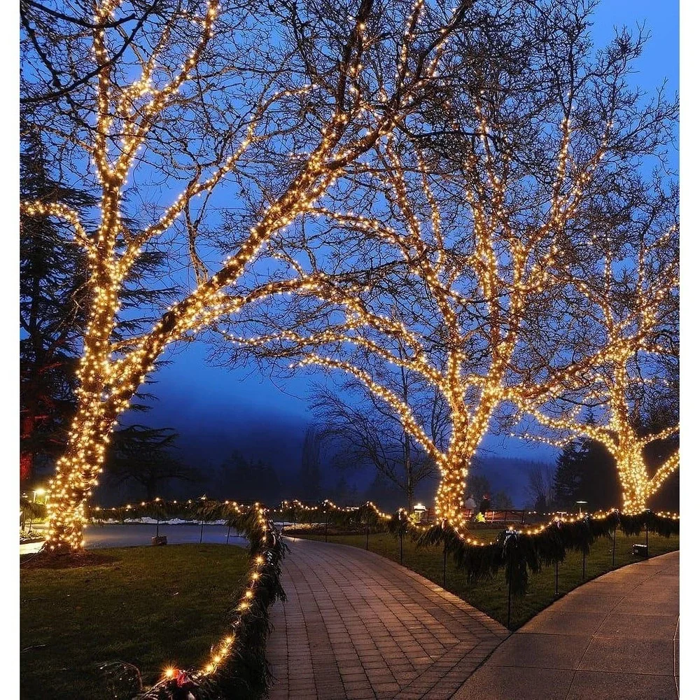 Commercial Grade 50ft 100 LED Warm White Teeny Rice Bulbs Brown String Lights